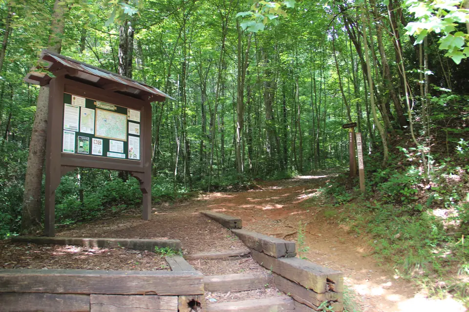 Brown wooden trail kiosk with maps beside timber steps leading to a dirt path through green forest, trail marker posts at right
