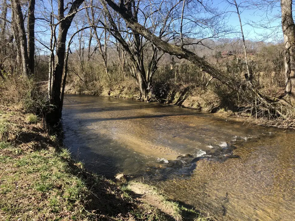 Clear shallow creek running over a sandy bed beneath bare leaning trees and dry grass banks under a blue sky