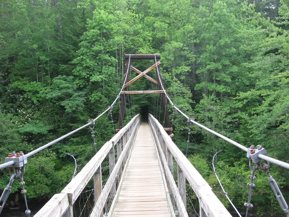 Wooden-decked suspension footbridge with steel cables leading to a timber tower and dense green forest